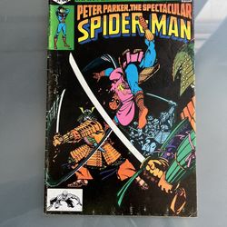 Spectacular Spider-Man #54