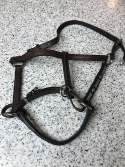 HORSE HALTER