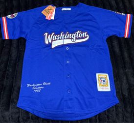 Washington Negro League Jersey (L)