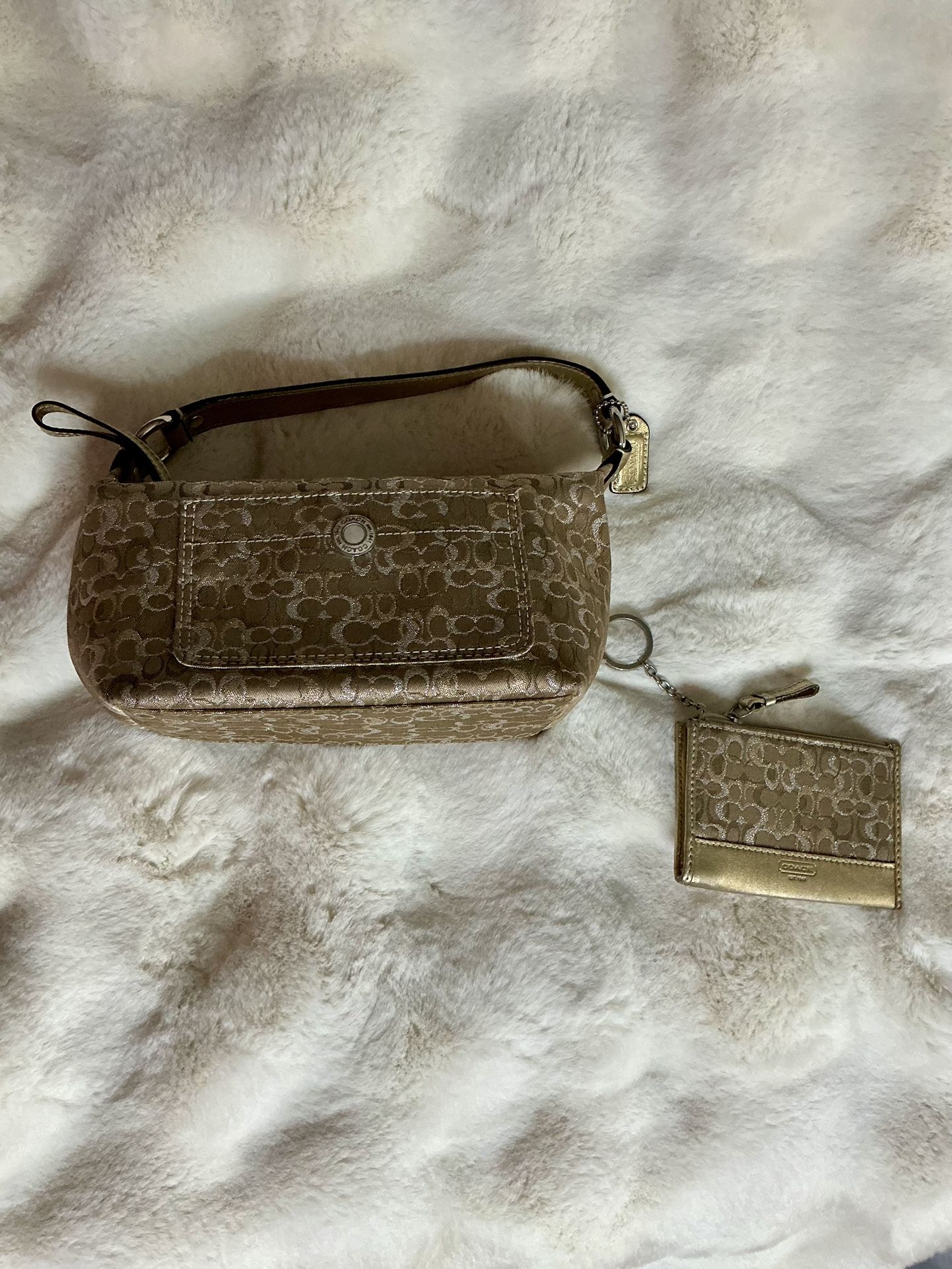 Coach Bag And Wallet