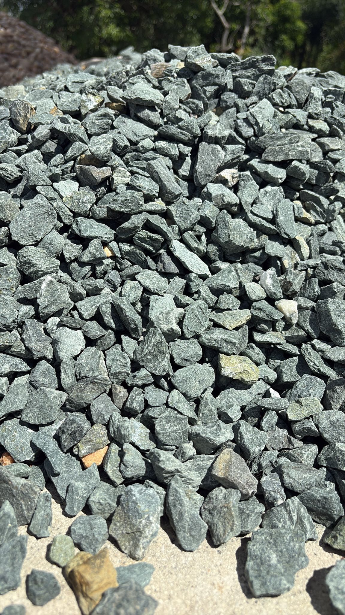Green Palmetto Rock - Yard