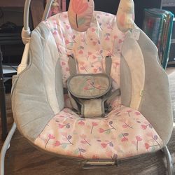 Ingenuity Baby Swing