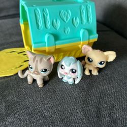 Little Pets
