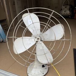 Fan