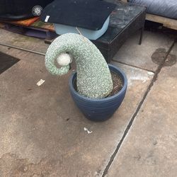 Outdoor elf decoration, wonderful for the holidays, free