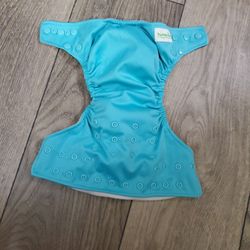 Blue Bumpkins Cloth Diaper