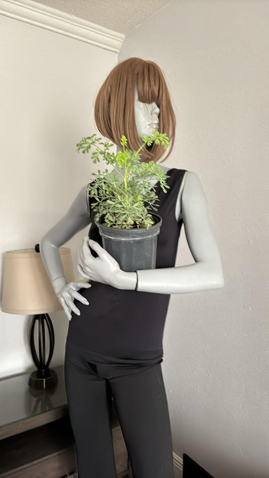 Ruda Plant real