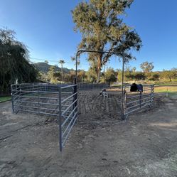 Round Pen Horse Panels