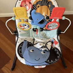 Fisher Price Baby Bouncer