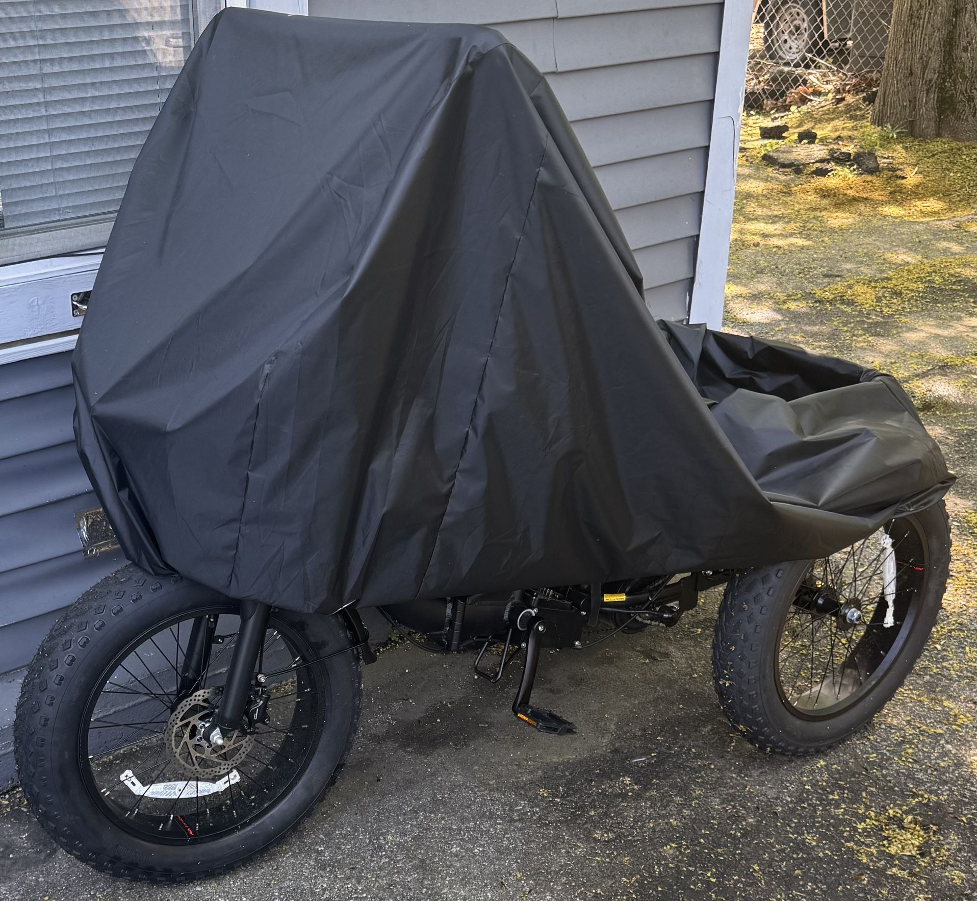 Narrak 3 Wheel Trike Electric Bike