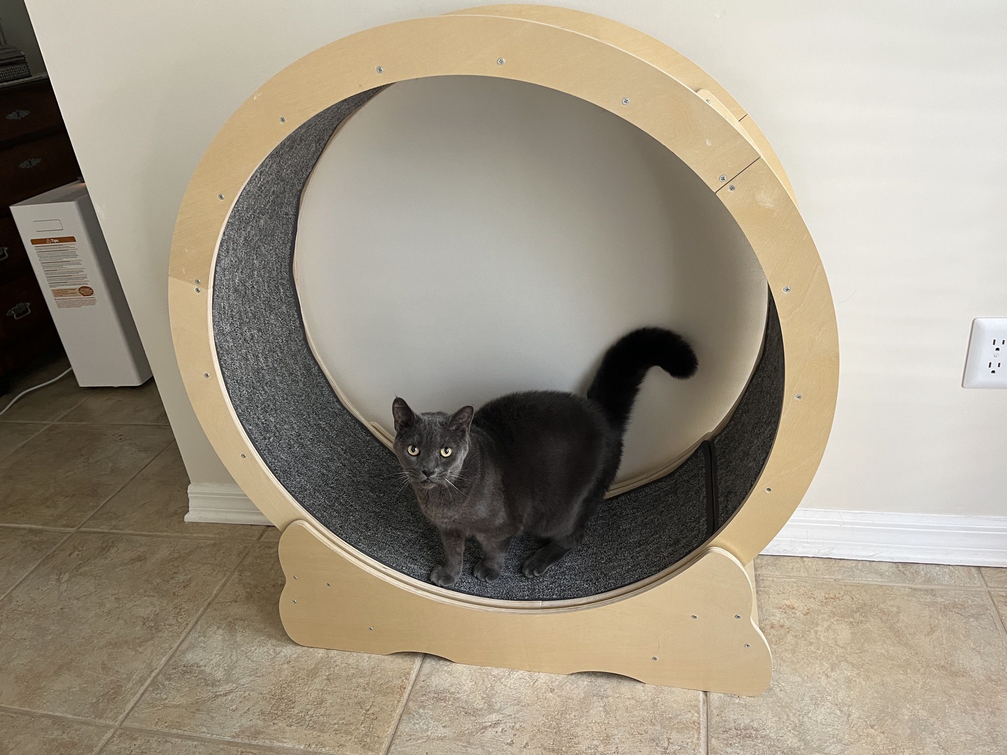 Large Wood Cat Exercise Wheel