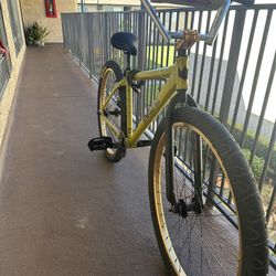 Throne 29er