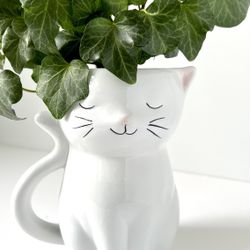 Ivy Plant w Cat Planter