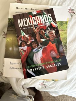Mexicanos Book
