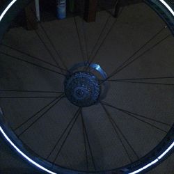 700cm.Rims
