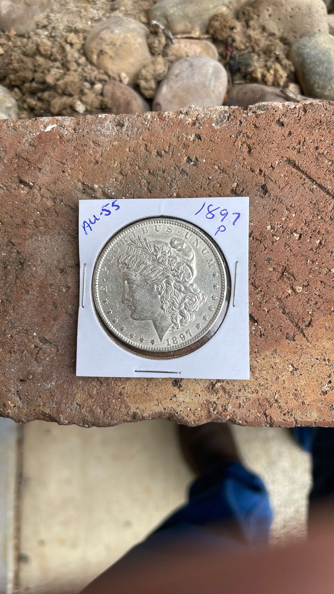 Silver Dollars In Collectables