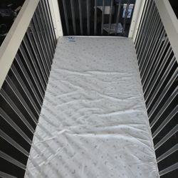 Delta Baby Crib