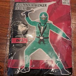 GREEN NINJA AVENGER DELUXE