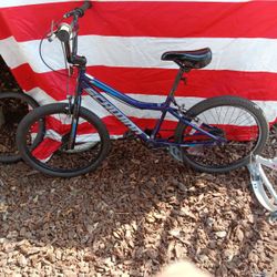 Schwinn Falcon