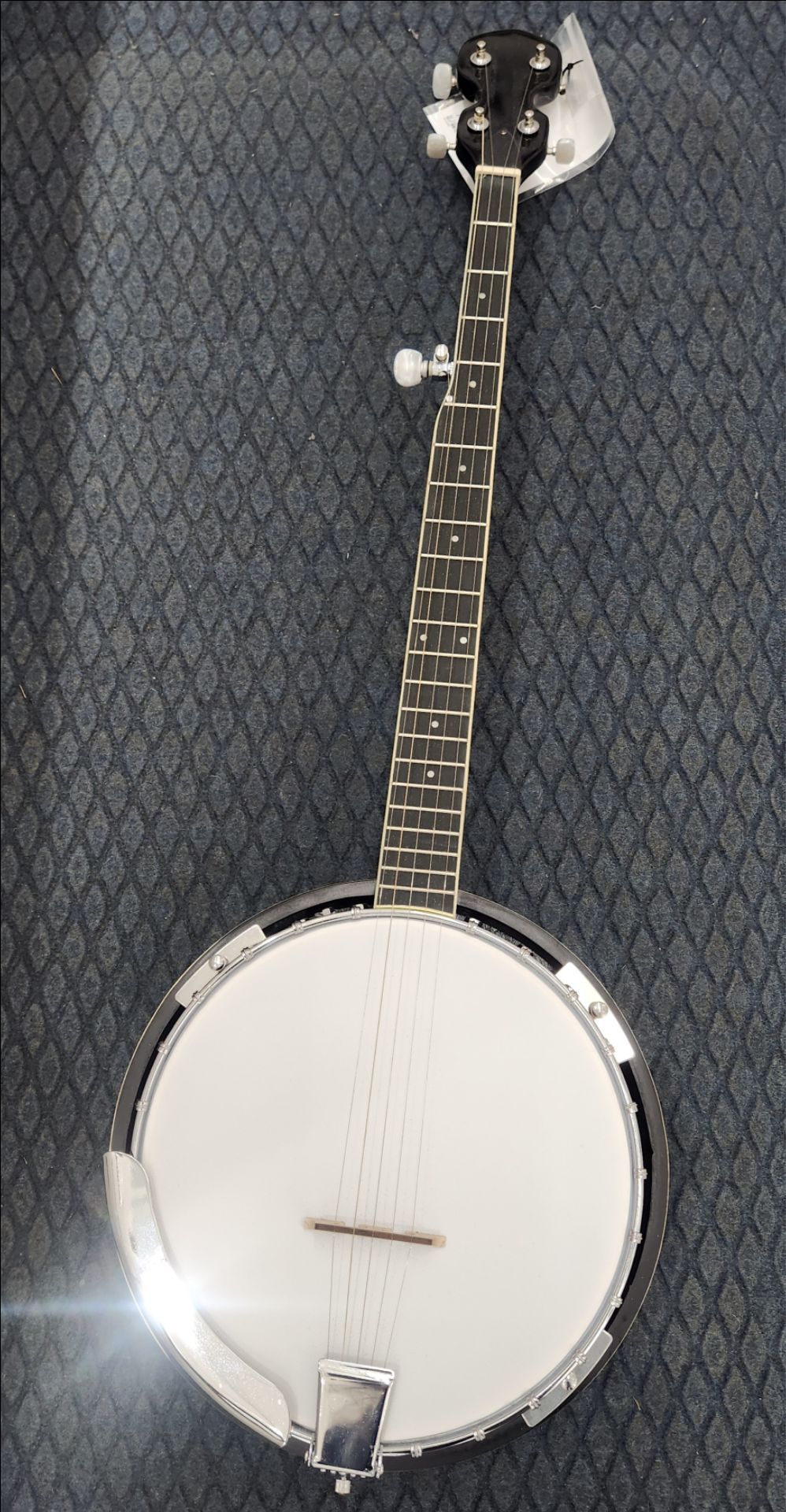 5-string Banjo
