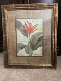 Framed Art