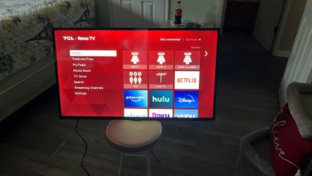 Roku Tv