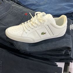 Mens Zapato Lacoste 11.5