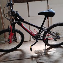 Nishiki Boys' Pueblo 24'' Mountain Bike - RED AND BLACK 