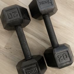 Two 20lb Dumbbells 