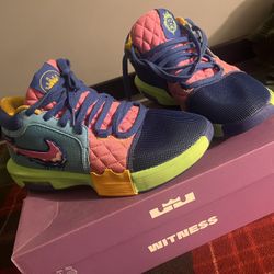 Lebron James Shoes
