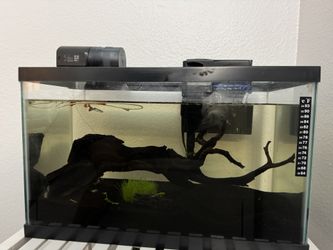 Aquarium 10 Gallon 