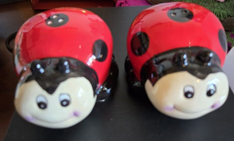 Lady Bug Salt And Pepper Shakers