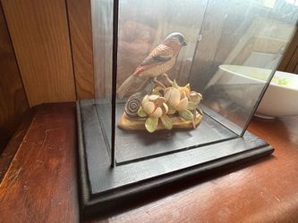 Vintage Display Case