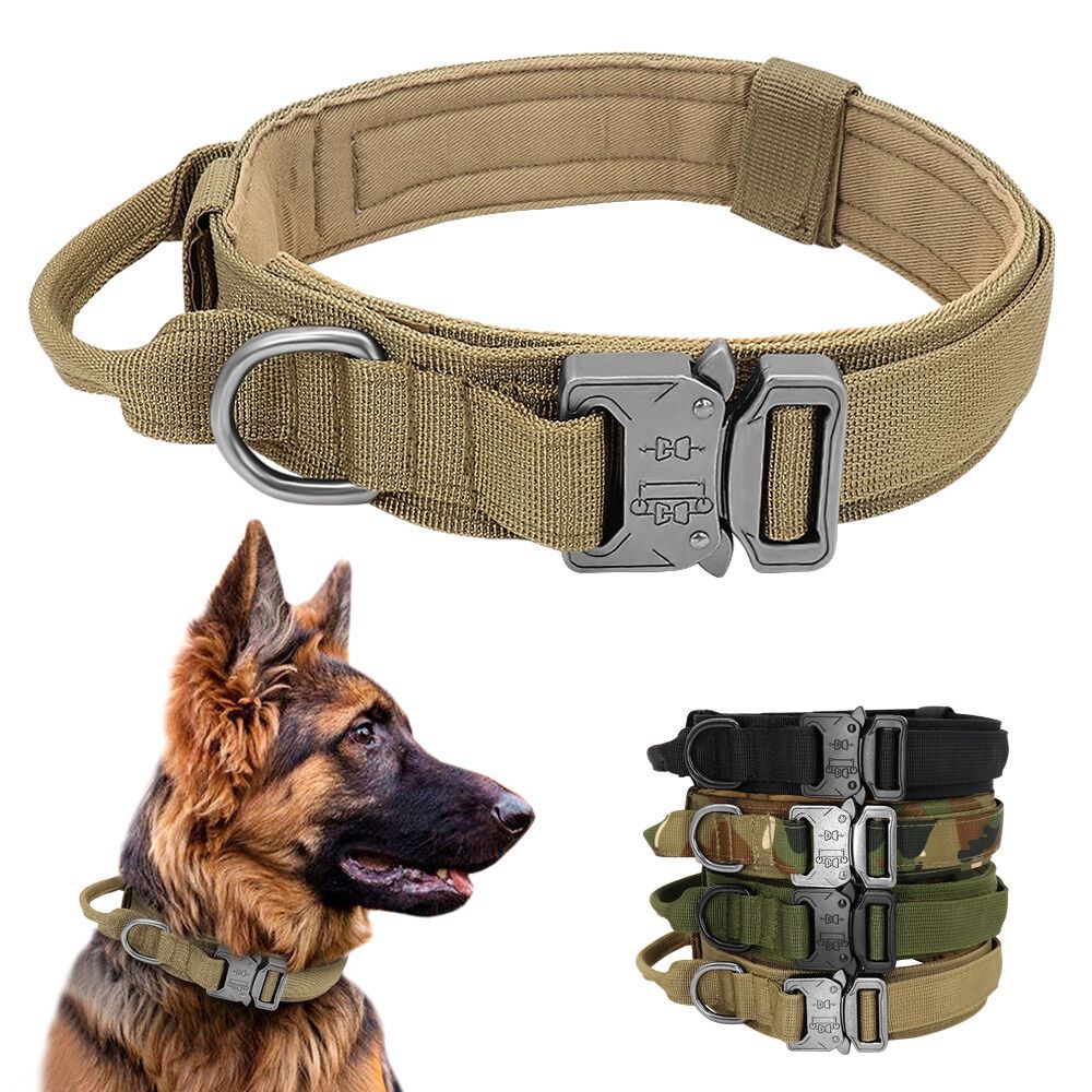 Dog Collar
