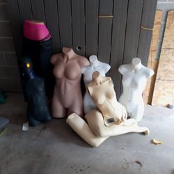 Body Parts For Display Or Art