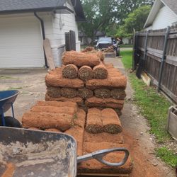 Sprinklers Sod Installation 
