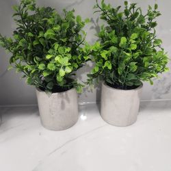 Artificial Green Plant With Vase