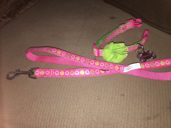 Martha Stewart Collar Set