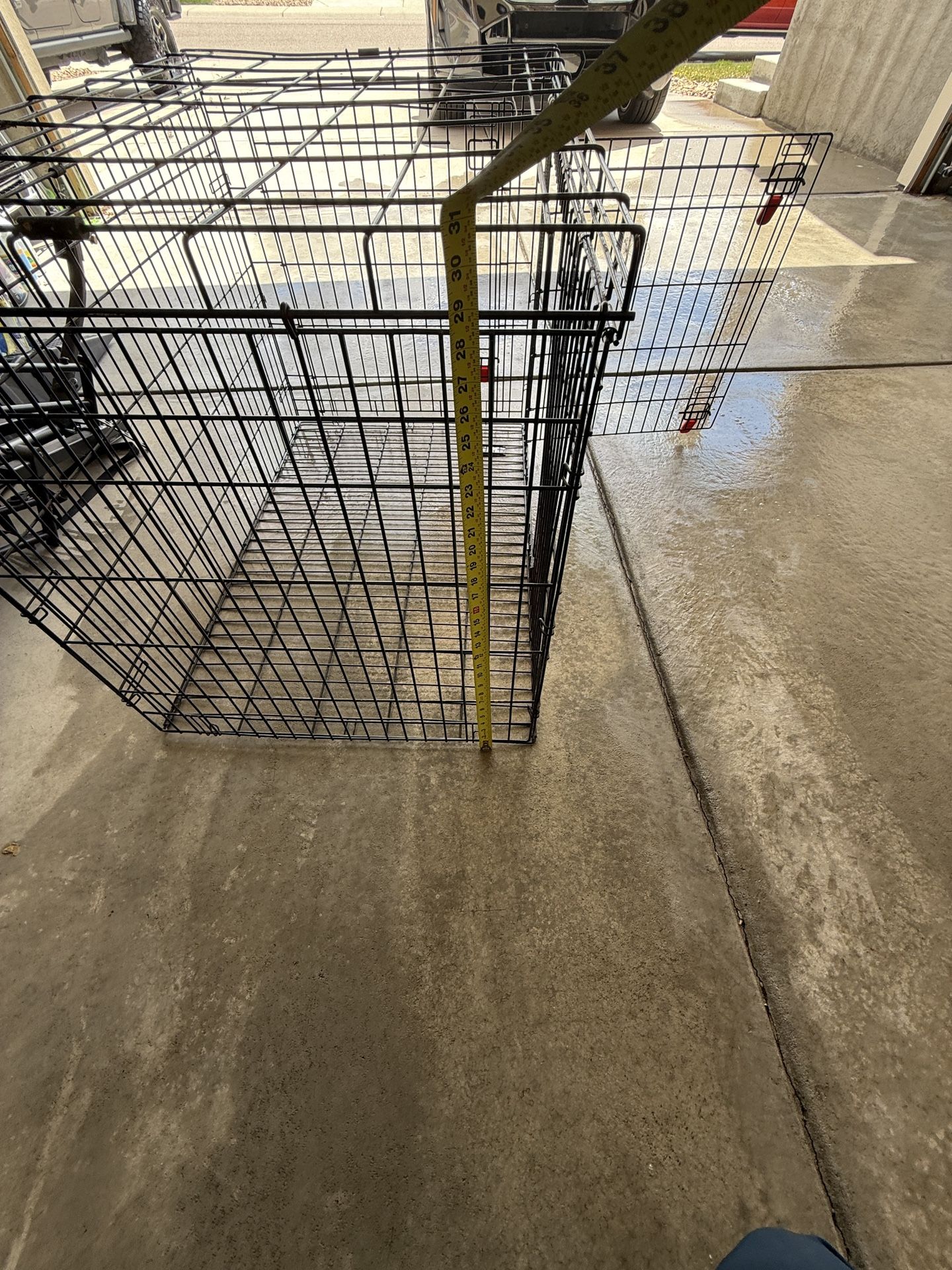 Kong Dog Cage