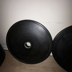 Bumper Weight Lifting Plates