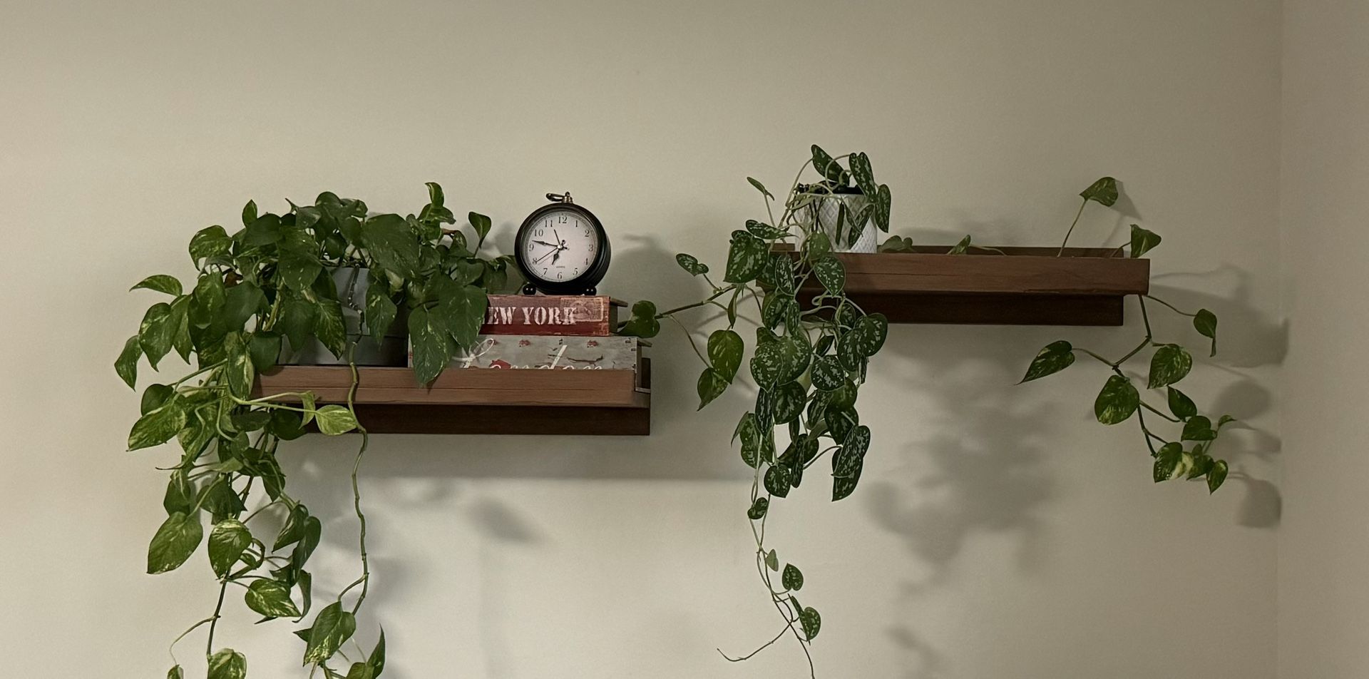 2 Piece Pine Floating Shelf