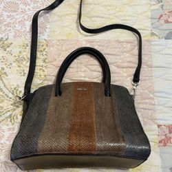 Salmon Skin Purse 