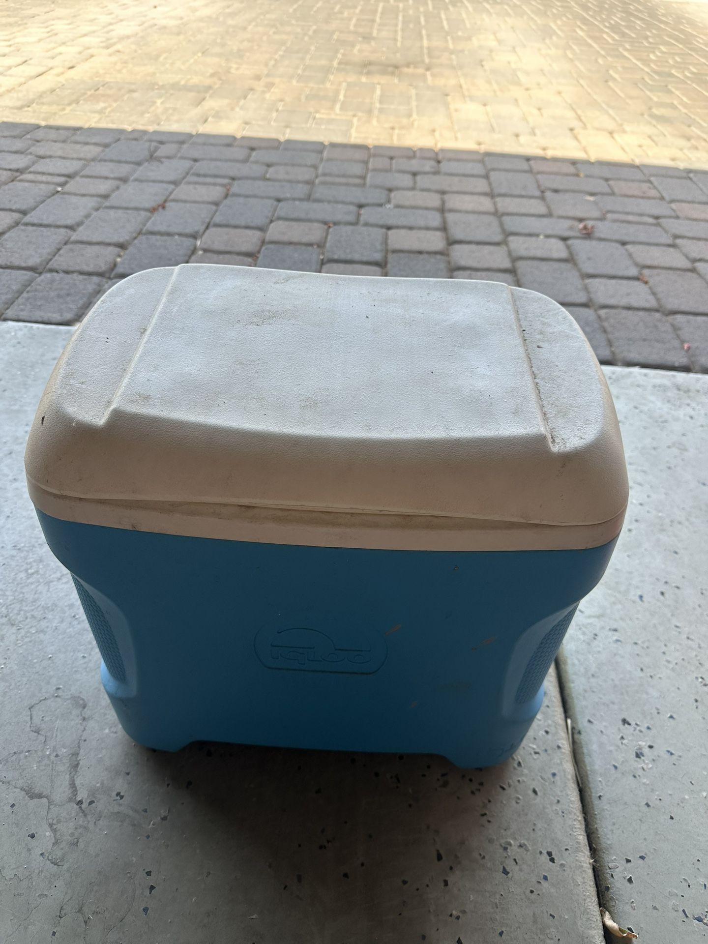 Igloo Cooler