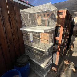 Bird Cage For Cockatiels And Lovebirds
