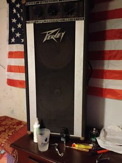 Peavey Speakers Super Sound   2 Of Them