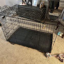 Big Dog Cage
