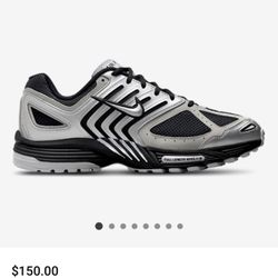 Nike Air Pegasus 2005