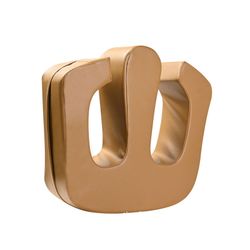 Patient Turning Device