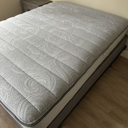 Queen Mattress/ Box spring 