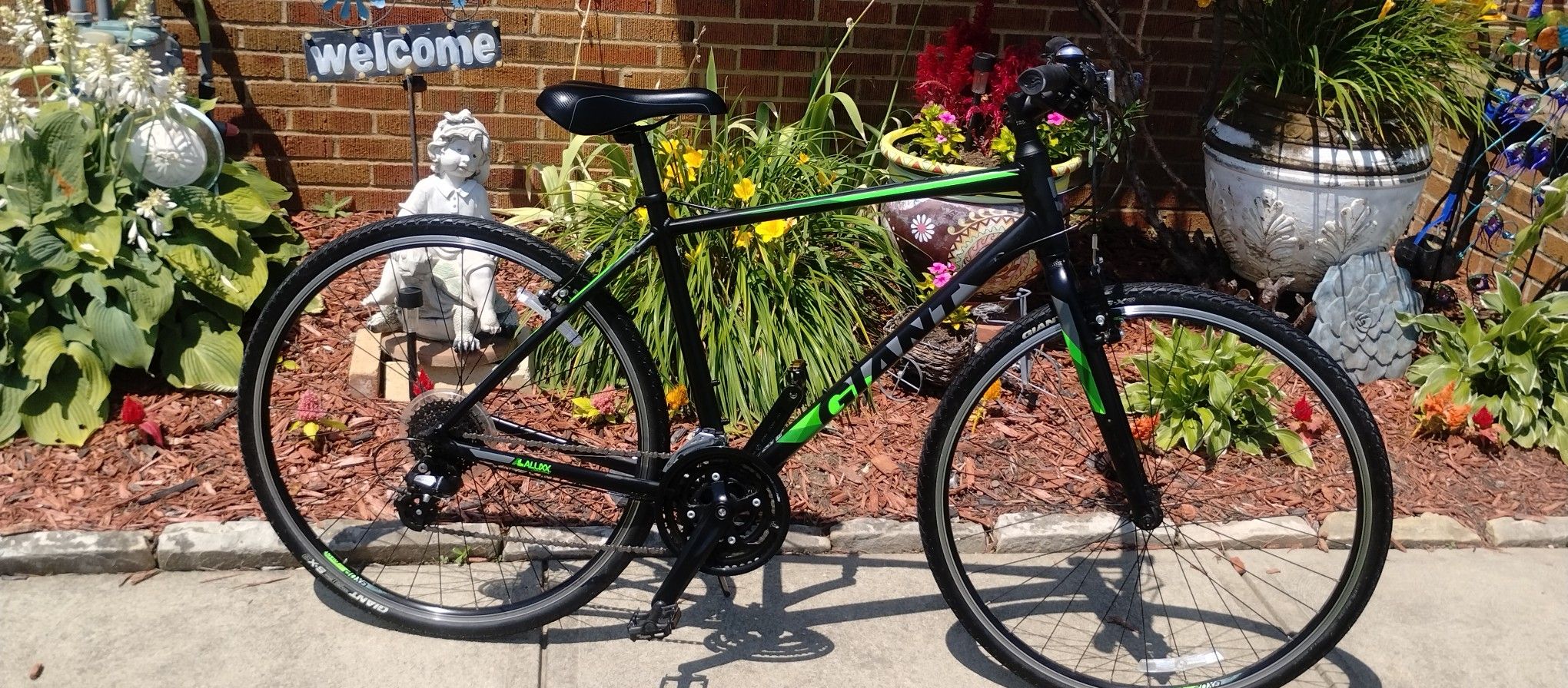Like New 700c Giant Escape 2 Hybrid Bike 24 Speed Trigger Shifter Medium Size Aluminum Frame Ready To Ride Needs Nothing